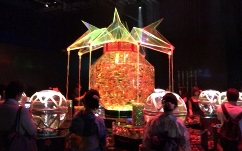 コレド室町1の日本橋三井ホールで開催したアートアクアリウムに展示していた超・花魁