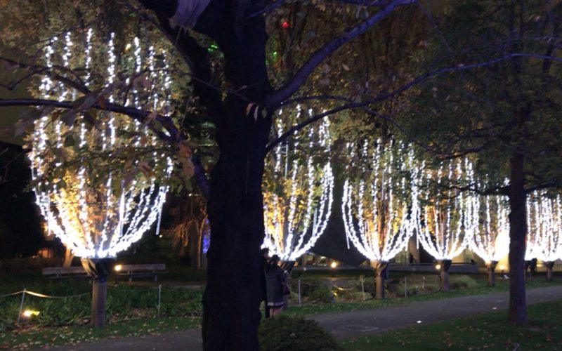 ミッドタウンクリスマスでミッドタウン・ガーデンに点灯したシャンパンイルミネーション