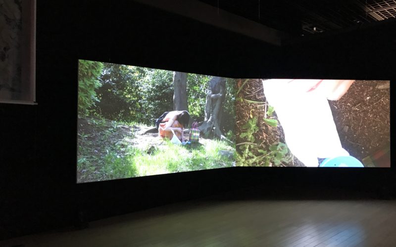 恵比寿映像祭で東京都写真美術館2Fで上映した青柳菜摘さんの作品