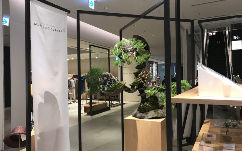 東急プラザ銀座で開催していたあてやかモノガタリ。BONSAI Meets JAPAN, Againの展示作品