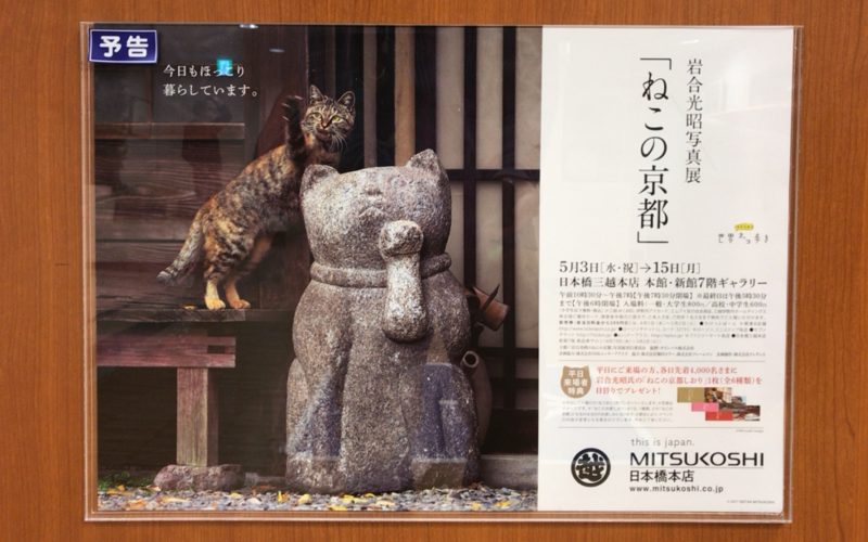 日本橋三越新館7Fに貼られていた岩合光昭写真展のポスター