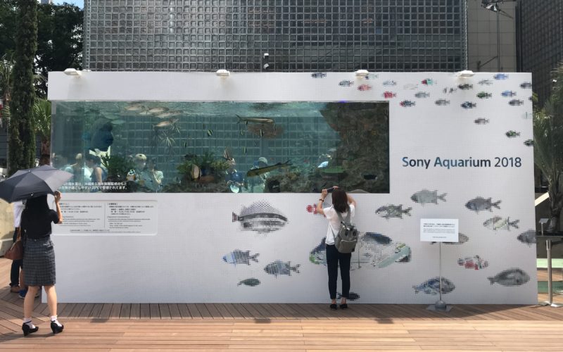銀座ソニーパークで開催したソニーアクアリウムの巨大水槽