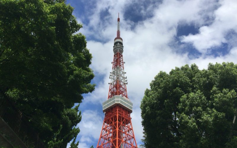 下から見た東京タワーと樹木