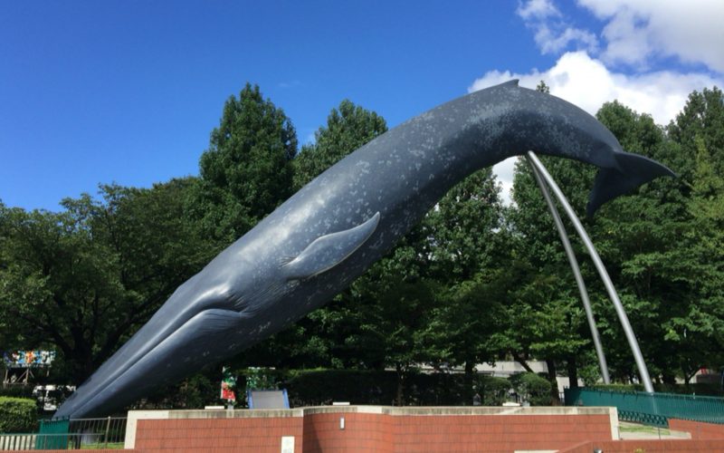 国立科学博物館の屋外にあるシロナガスクジラの像