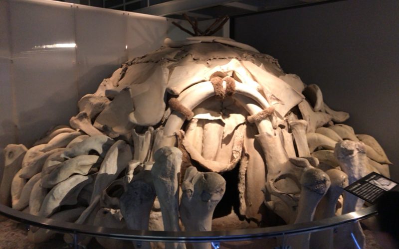国立科学博物館の地球館B2Fにあるマンモスの骨を利用した住居