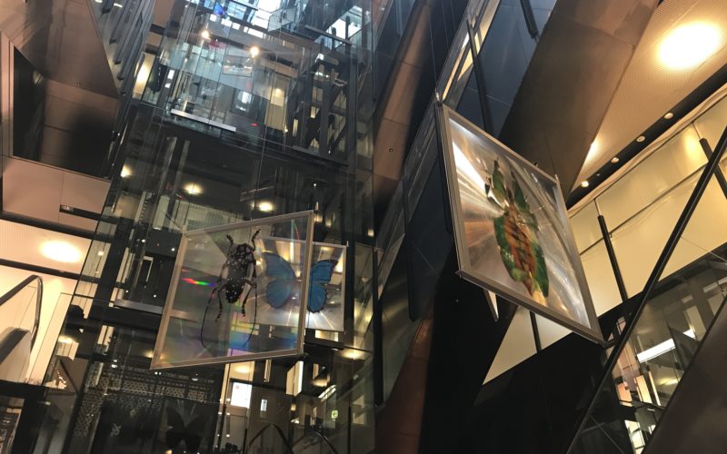 ジャイルの吹き抜けに展示している落合陽一さんの作品