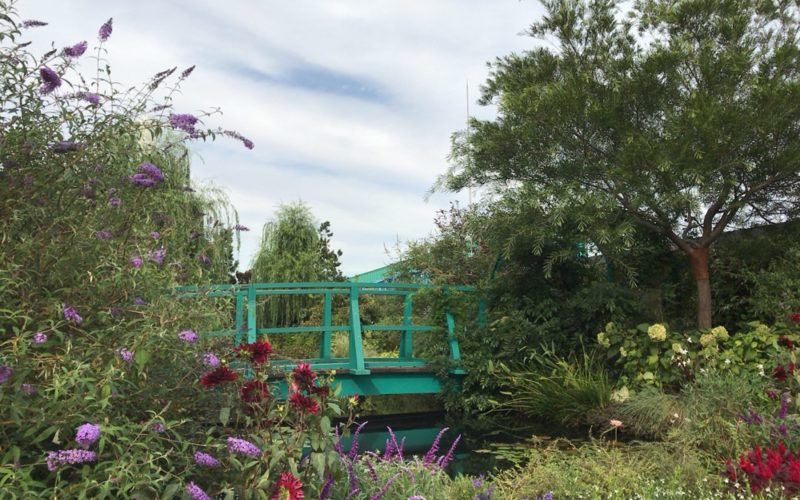 西武池袋の食と緑の空中庭園にある睡蓮の庭にかかる緑の橋