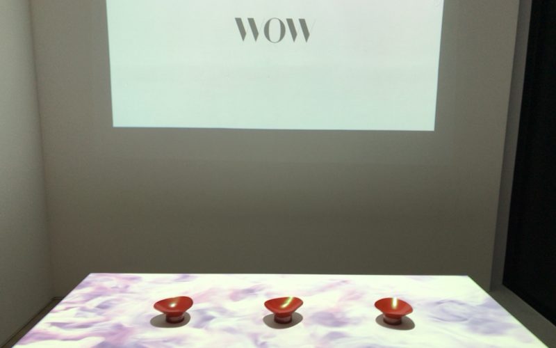 WOW Showcaseー生活不必需品の必要性ーに展示されたSHIZUKU