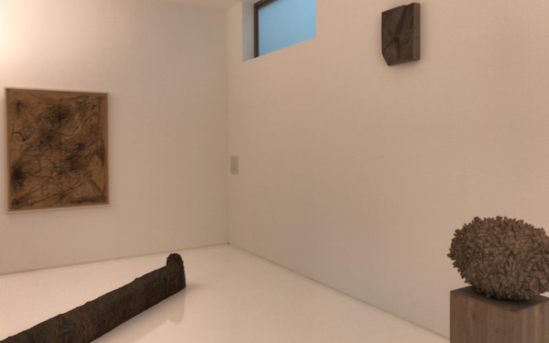 シュウゴアーツで開催されていた戸谷成雄 森 Xの展示作品