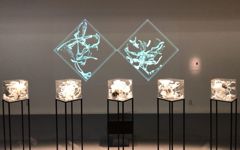 SICF17受賞者展でスパイラルガーデンに展示していたFUKUPOLYの作品