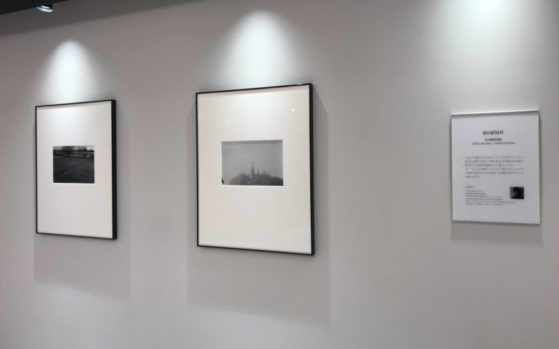 ギンザシックス5FのライカGINZA SIXで開催している「柏木龍馬写真展 avalon」の展示作品