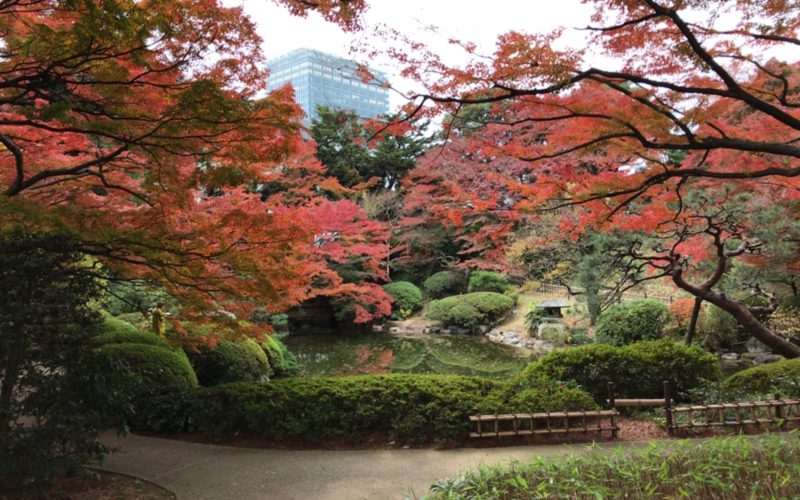 東京都庭園美術館の日本庭園